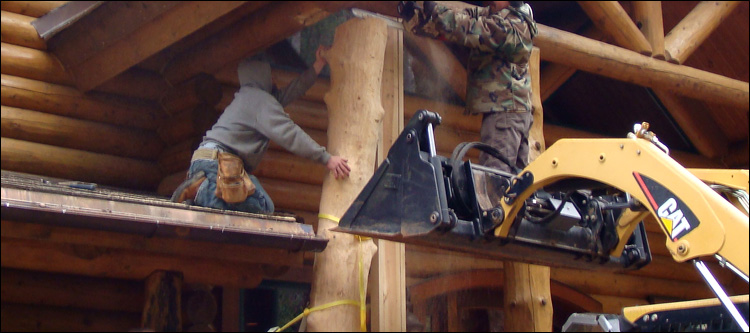 Log Home Log Replacement  Lauderdale County, Alabama