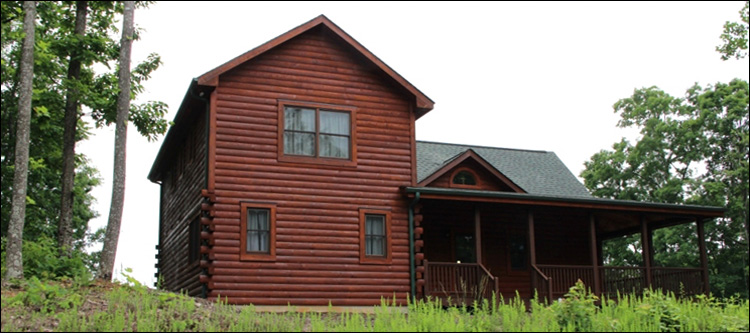 Professional Log Home Borate Application  Cloverdale, Alabama